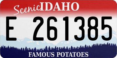 ID license plate E261385