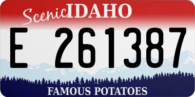 ID license plate E261387