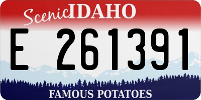 ID license plate E261391