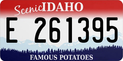 ID license plate E261395