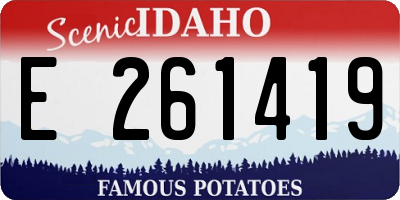 ID license plate E261419