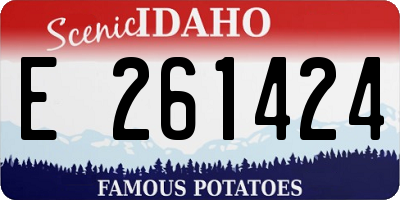 ID license plate E261424
