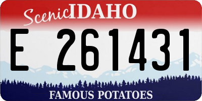 ID license plate E261431