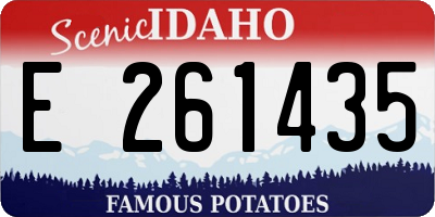 ID license plate E261435
