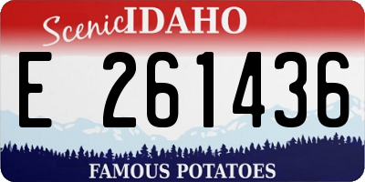 ID license plate E261436