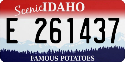 ID license plate E261437
