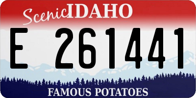 ID license plate E261441