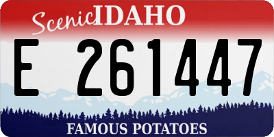 ID license plate E261447
