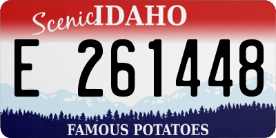 ID license plate E261448