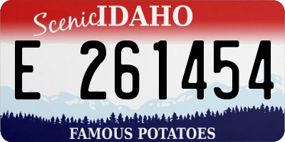 ID license plate E261454