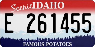 ID license plate E261455