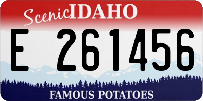 ID license plate E261456