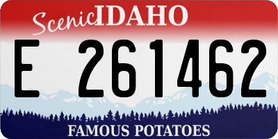 ID license plate E261462