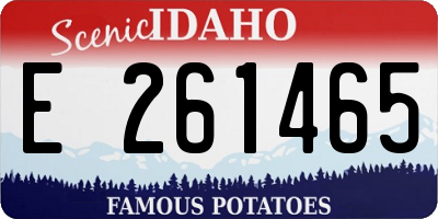 ID license plate E261465
