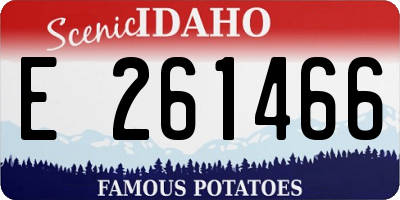 ID license plate E261466