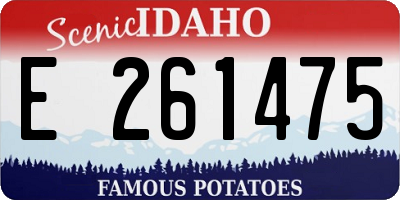 ID license plate E261475