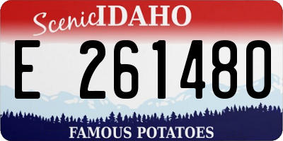 ID license plate E261480