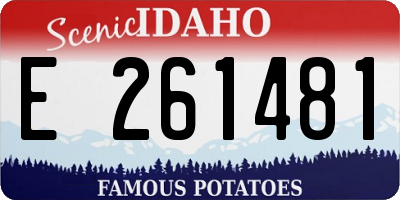 ID license plate E261481