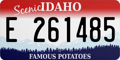 ID license plate E261485