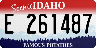 ID license plate E261487