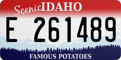 ID license plate E261489