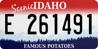 ID license plate E261491