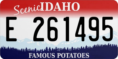 ID license plate E261495