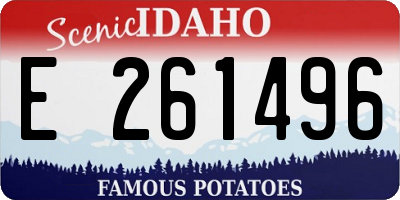 ID license plate E261496