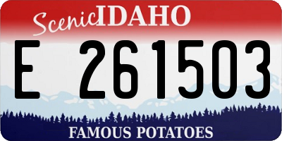 ID license plate E261503