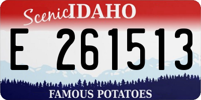 ID license plate E261513