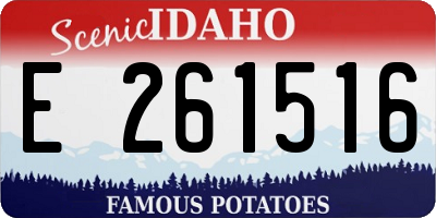 ID license plate E261516