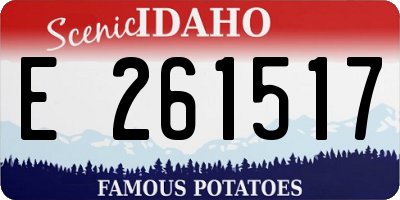 ID license plate E261517