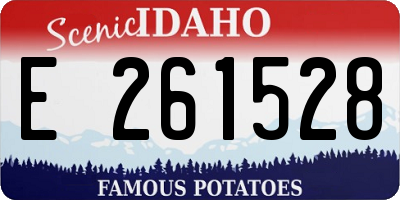 ID license plate E261528