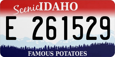 ID license plate E261529
