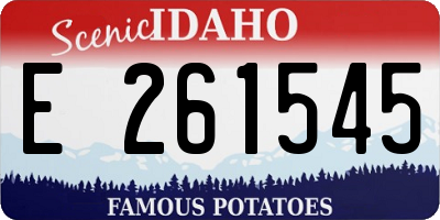 ID license plate E261545