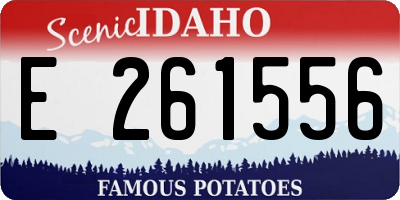 ID license plate E261556
