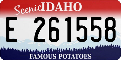 ID license plate E261558