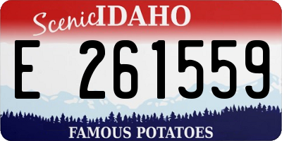 ID license plate E261559