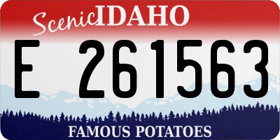 ID license plate E261563