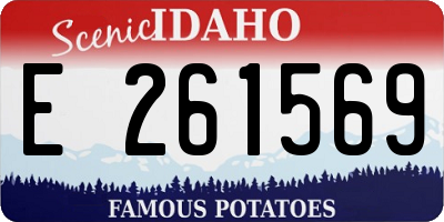 ID license plate E261569