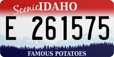 ID license plate E261575