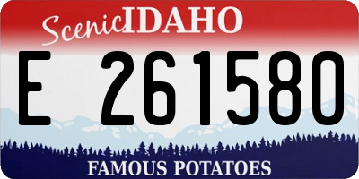 ID license plate E261580