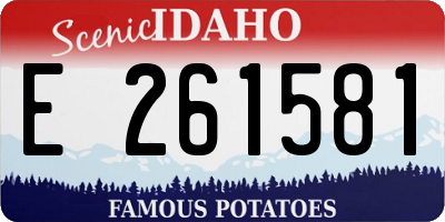 ID license plate E261581
