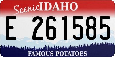 ID license plate E261585