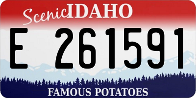 ID license plate E261591