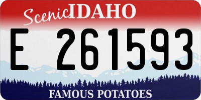 ID license plate E261593