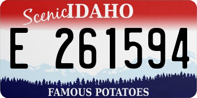ID license plate E261594