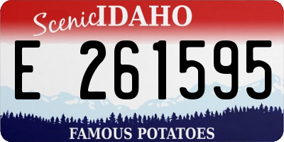 ID license plate E261595