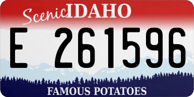 ID license plate E261596