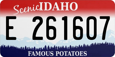 ID license plate E261607